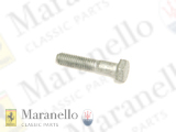 Screw M6x30