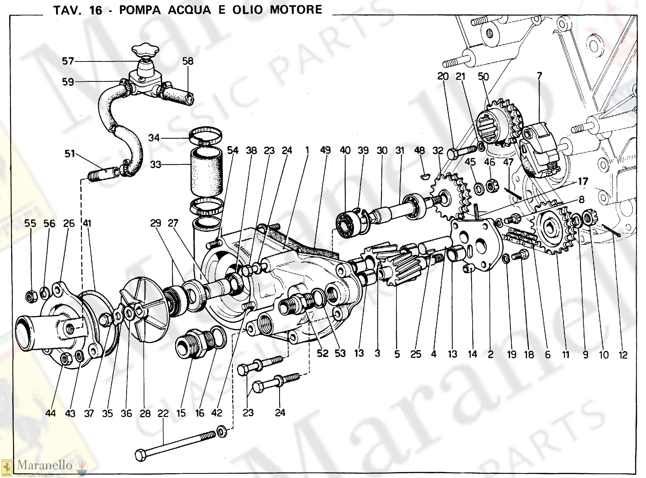 016 - Water & Oil Pump