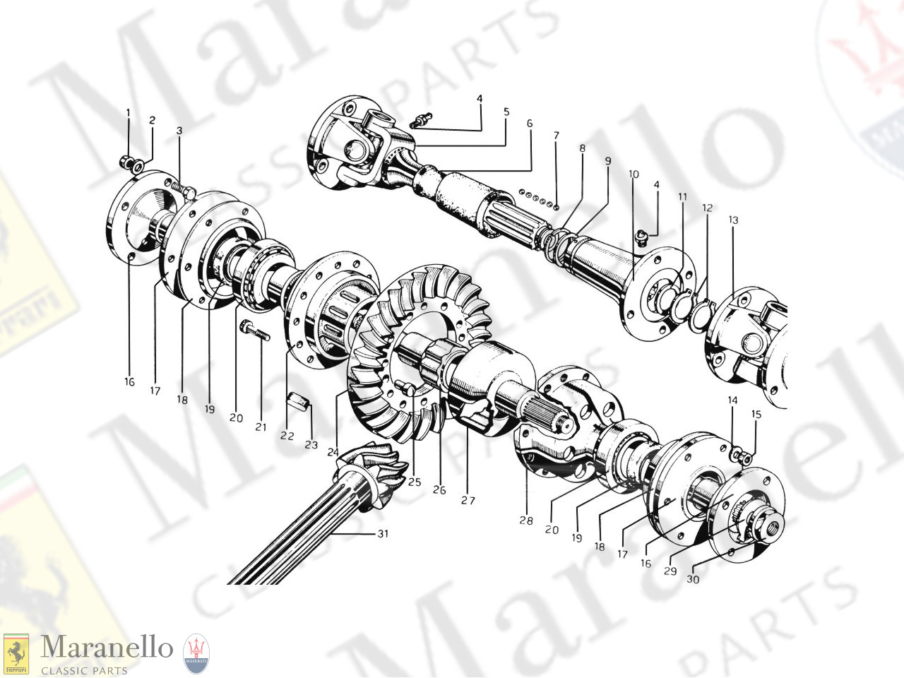 019 - Differential & Driveshaft