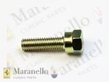 Distributor Retaining Bolt