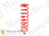 Front Suspension Spring