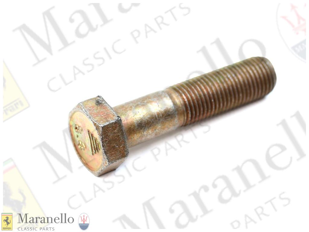 Chassis Bolt