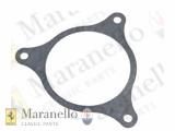 Water Pump Gasket