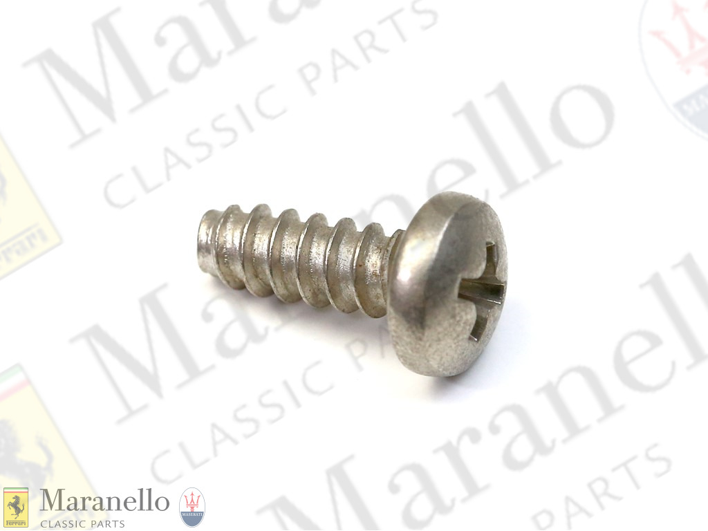 Self Tapping Screw