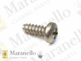 Self Tapping Screw