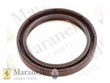 Oil Seal