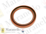 Oil Seal