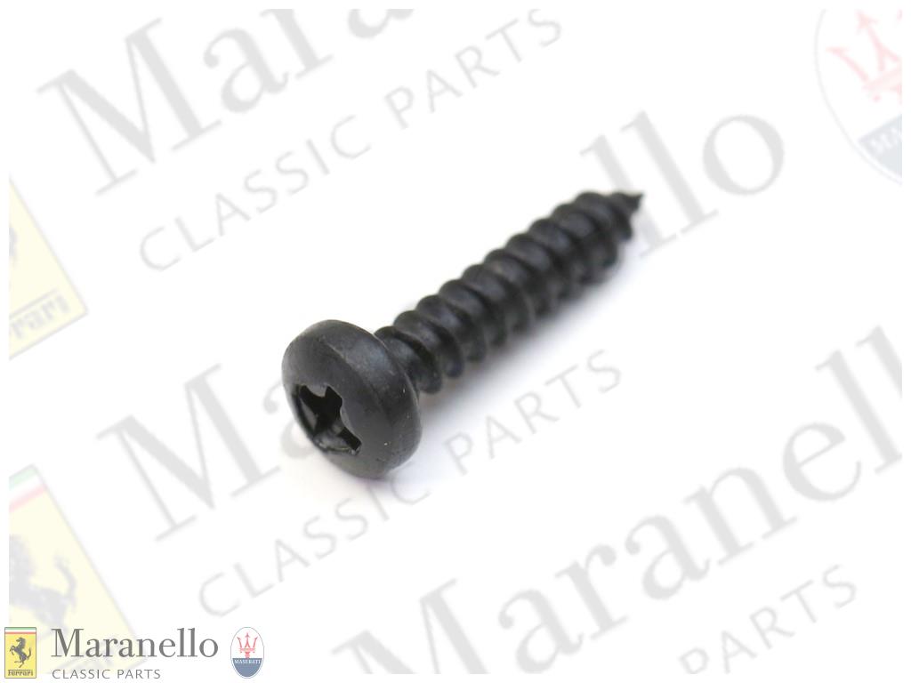 Black Self Tapping Screw