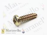 Self Tapping Screw