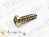 Self Tapping Screw