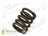 Valve Spring