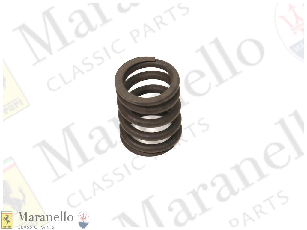 Valve Spring