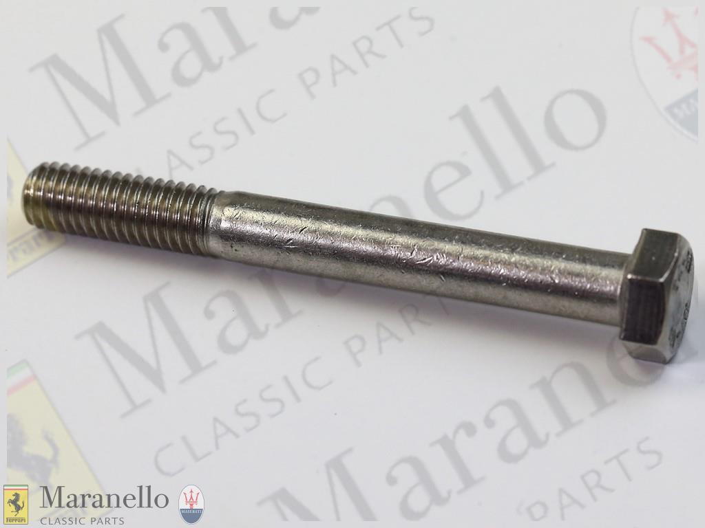 Stainless Steel Bolt