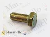 Bolt M10 x 1.25 x 25 UNI 5740