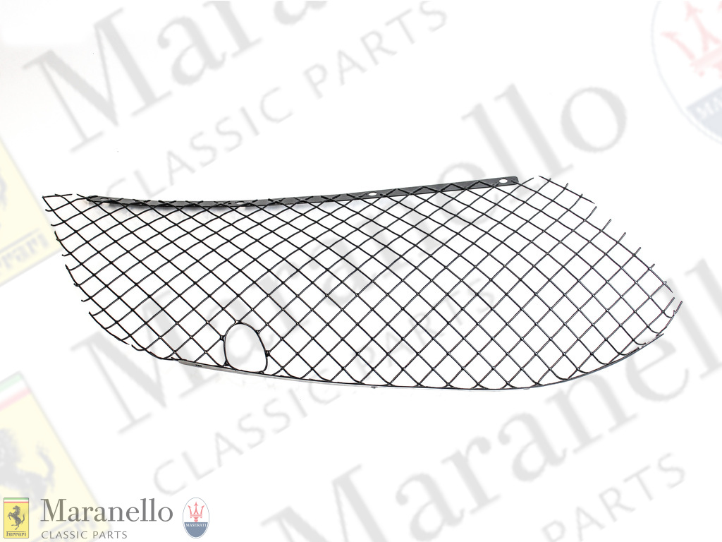 RH Bumper Mesh