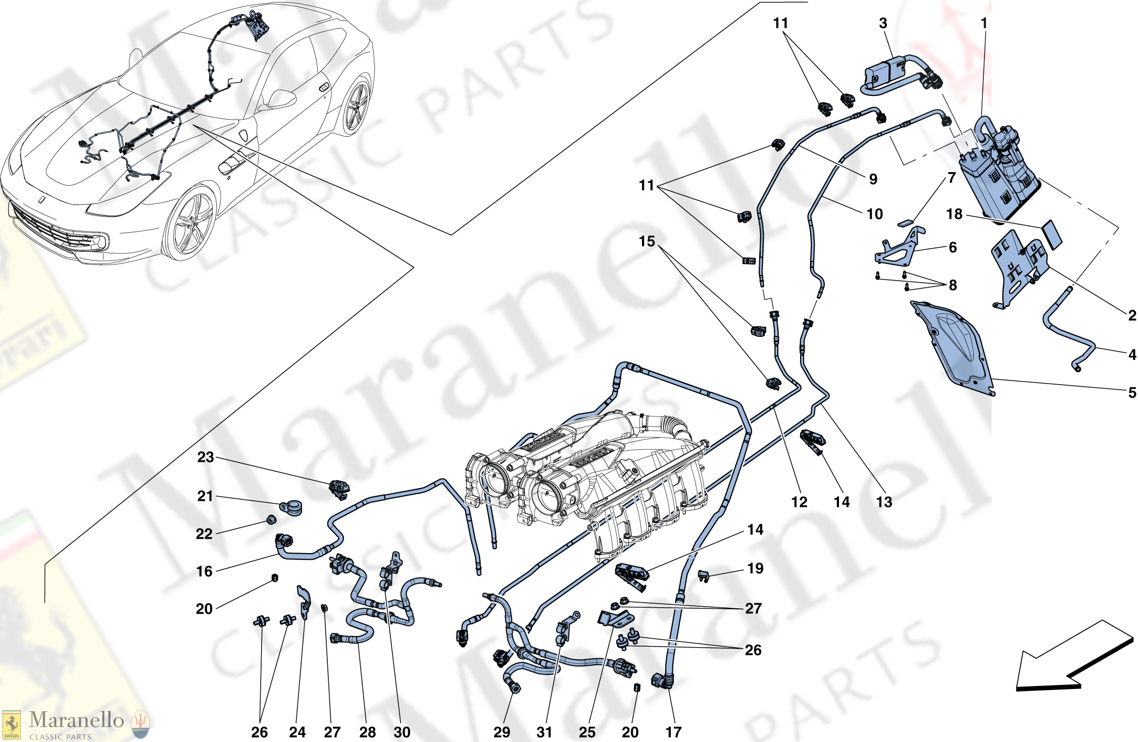 011 - Evaporative Emissions Control System