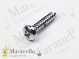 Chrome Self Tapping Screw