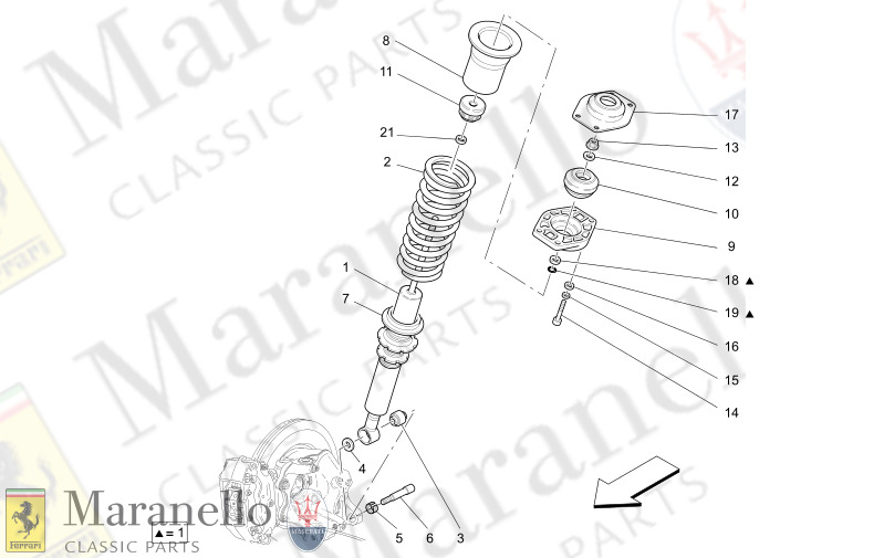 06.21 - 1 REAR SHOCK ABSORBER DEVICES