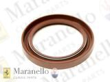 Oil Seal