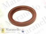 Oil Seal