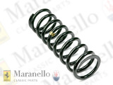 Front Suspension Spring