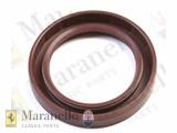 Oil Seal