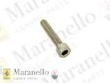 Allen Screw  M6 x 30