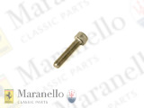 Allen Screw  M6 x 30