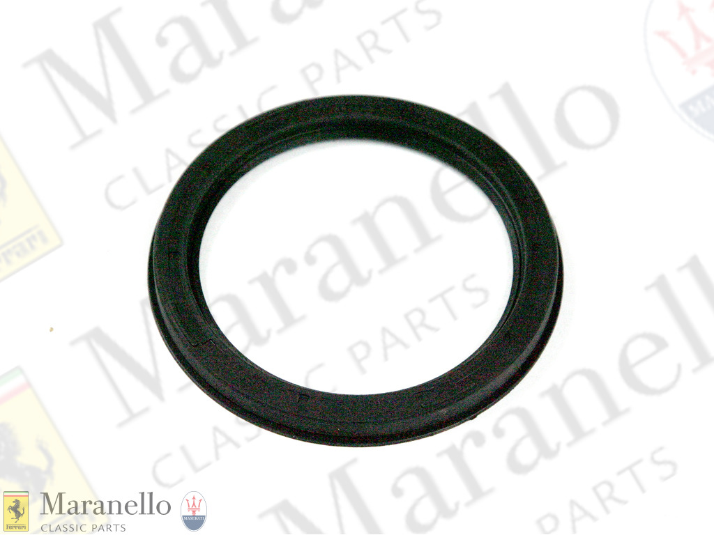 Rear Crankshaft Oil Seal Outer