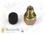 Fuel Filter Valve Nut