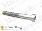 Allen Screw M6 x 45 TCEI