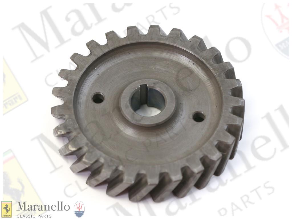 Oil Pump Gear