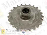 Oil Pump Gear