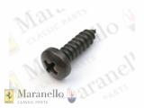 Self Tapping Screw 4.8 x 16