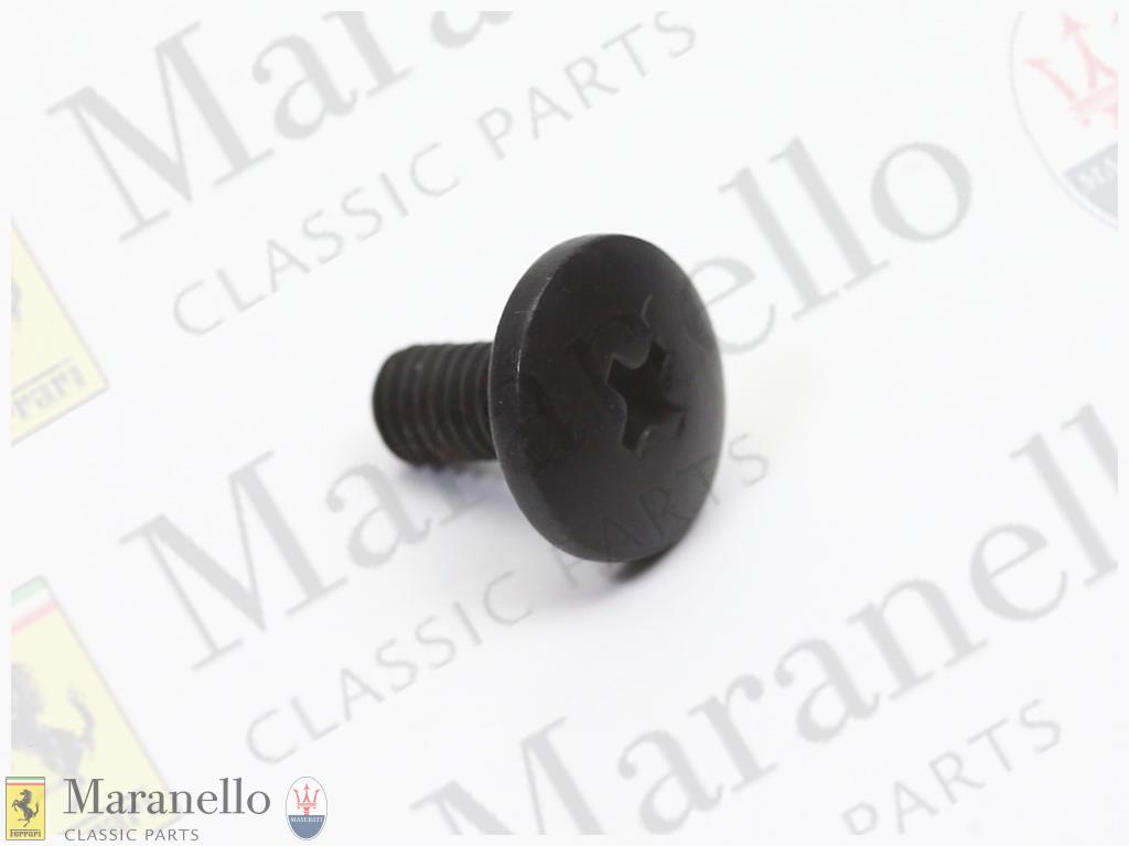 Black Fixing Screw For Grill