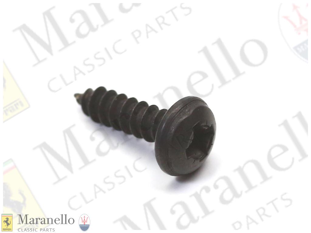 Self Tapping Screw