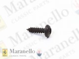 Self Tapping Screw