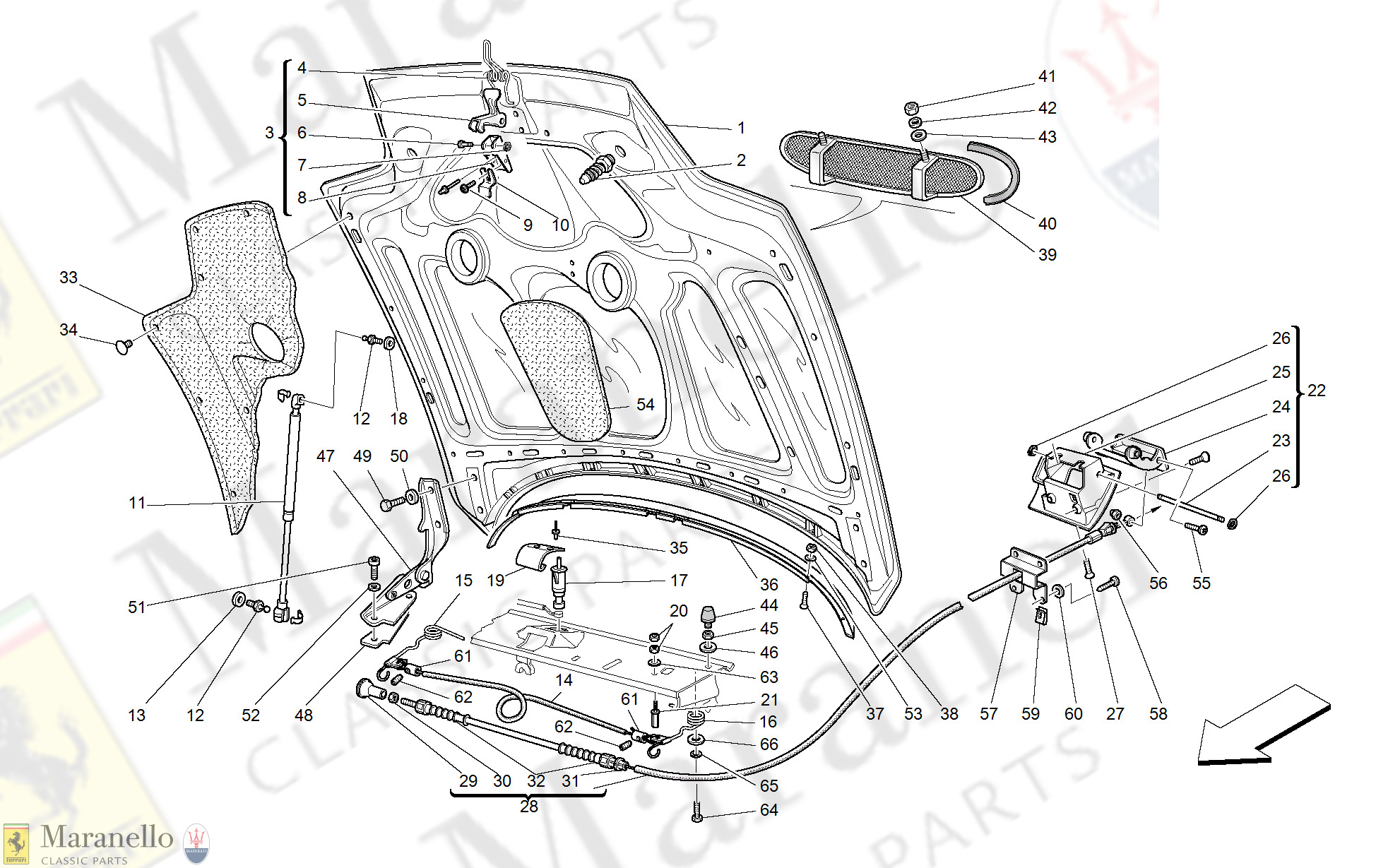 Ferrari Engine Diagram