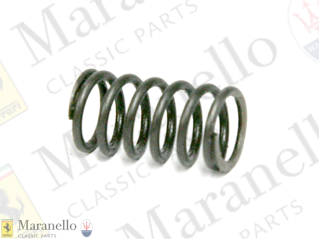 Inner Valve Spring