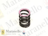 External Valve Return Spring