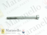 Allen Screw