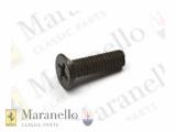 Black Countersunk Screw