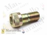 Allen Screw