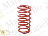 Rear Suspension Spring