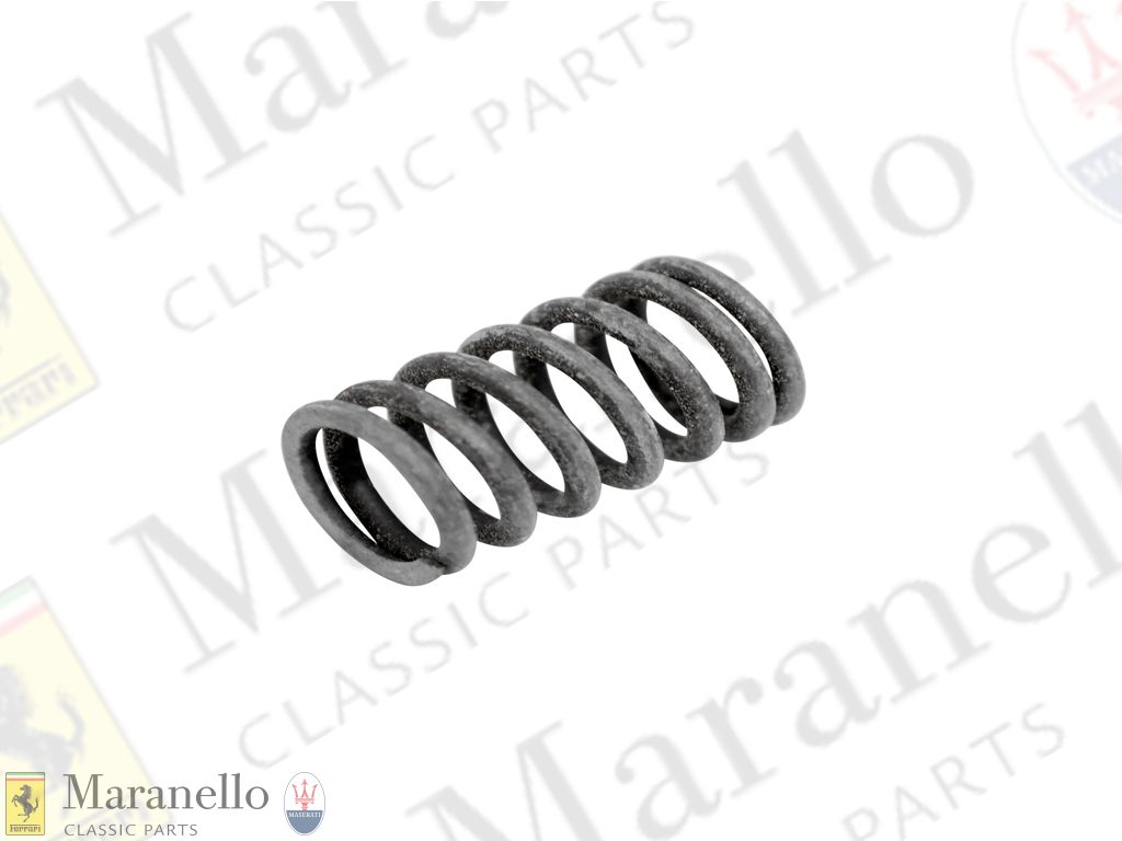 Inner Valve Spring